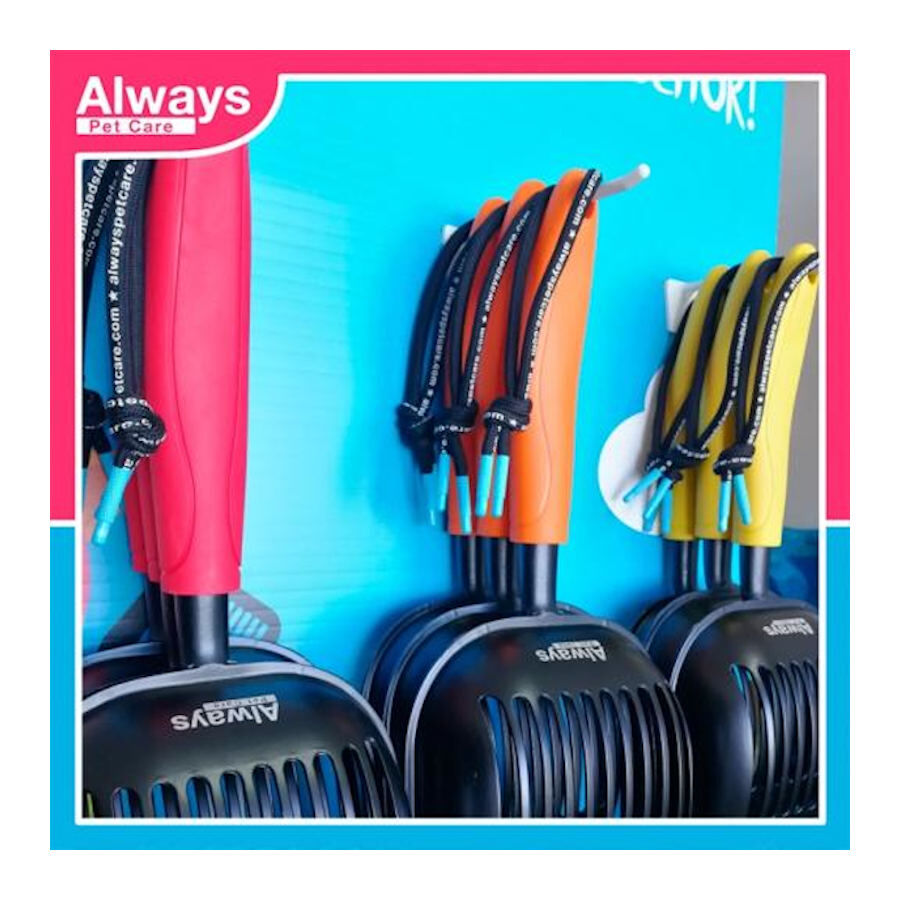 Always P&aacute; multicolorida para gatos, , large Imagem n&uacute;mero 3